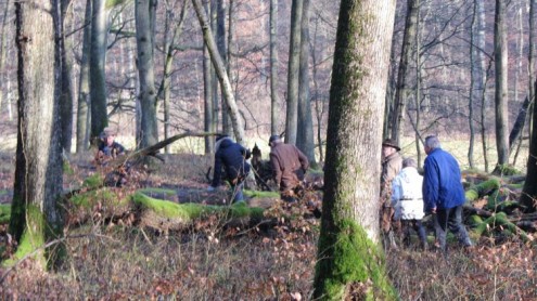 Bannwald 18-01 _11